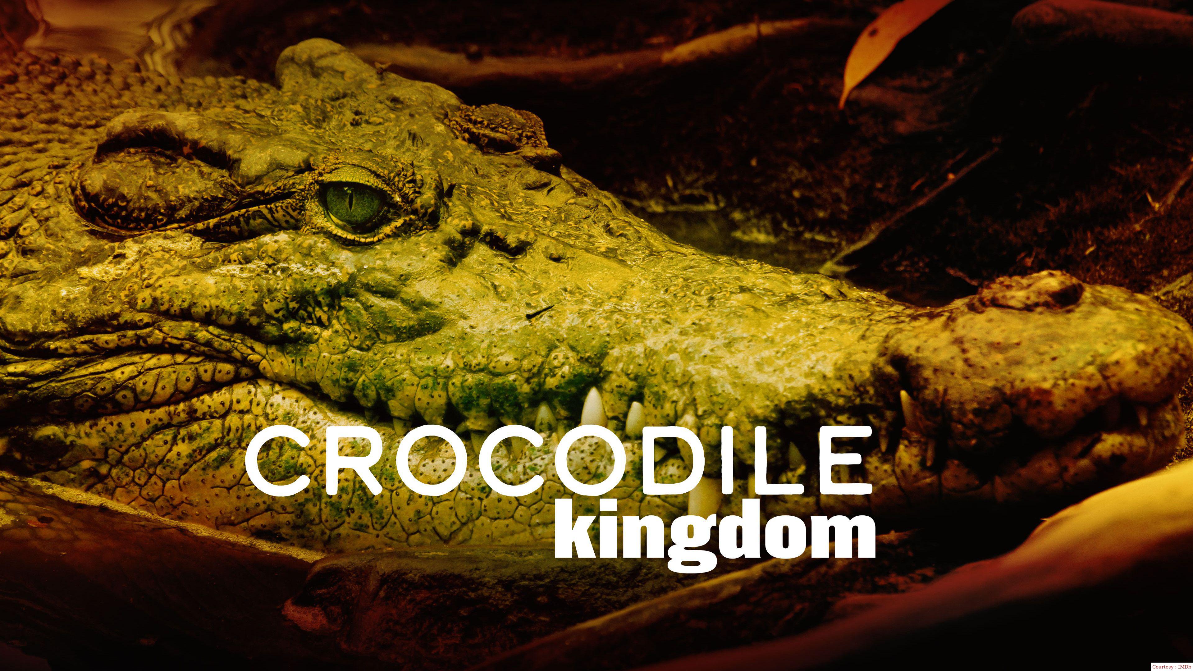 Crocodile Kingdom 