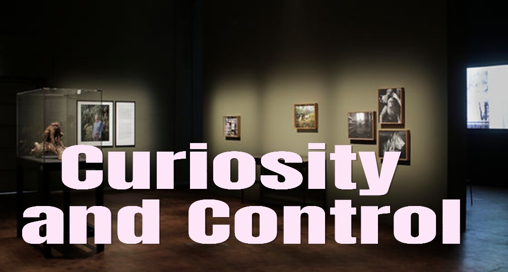 Curiosity and Control 