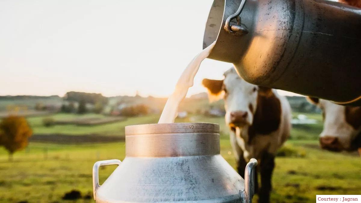 Dairy enterprise training in Chandigarh: Initiative of youth for youth and farmers