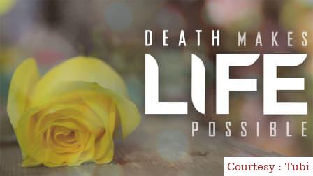 Watch Free  Death Makes Life Possible Full Movie Online