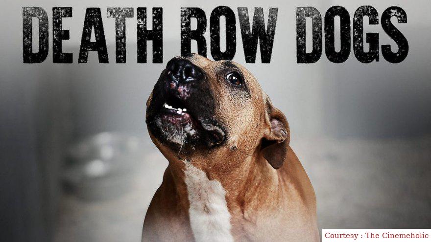 Watch Free  Death Row Dogs Full Movie Online
