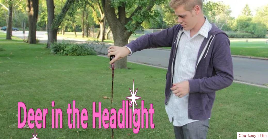 Deer in the Headlight