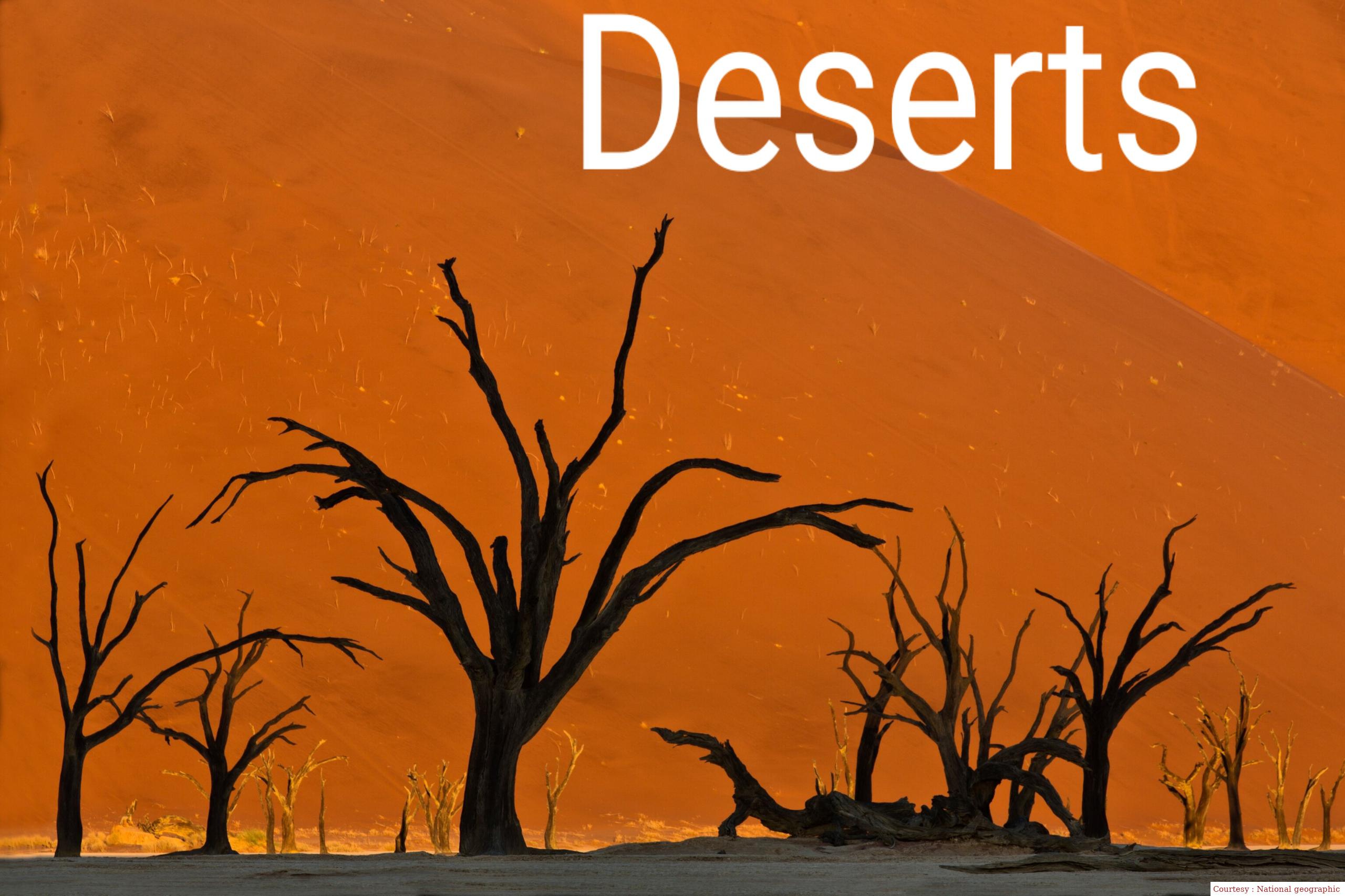 Deserts