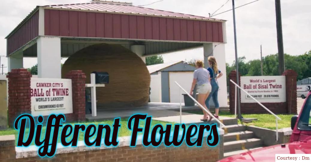 Watch Free  Different Flowers Full Movie Online