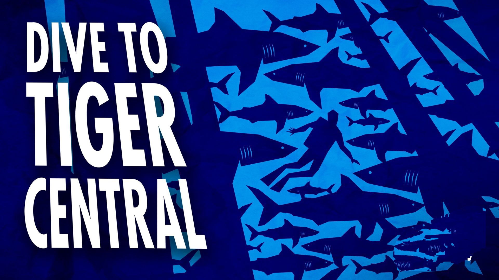 Dive to Tiger Central