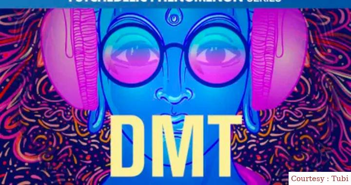 Watch Free  DMT Full Movie Online