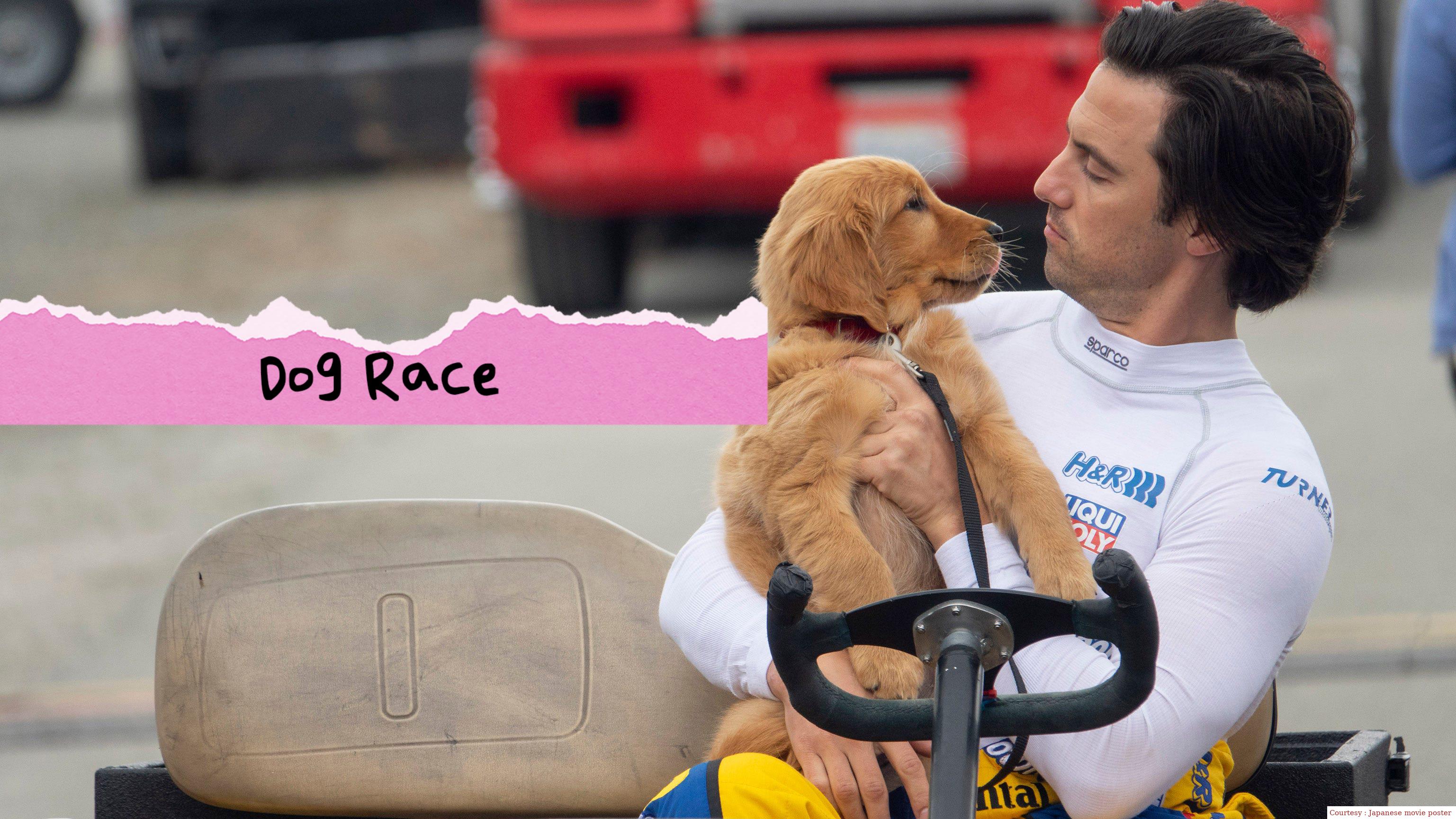 Watch Free  Dog Race Full Movie Online