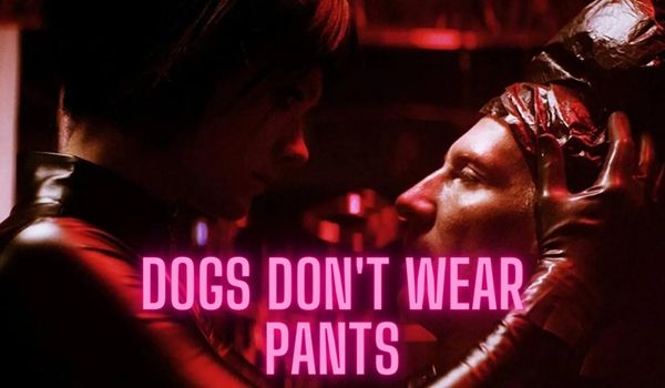 Dogs Don't Wear Pants