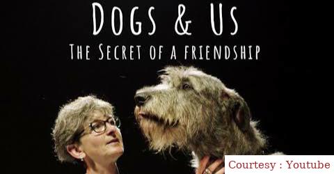 Watch Free  Dogs & Us - The Secret of a Friendship Full Movie Online