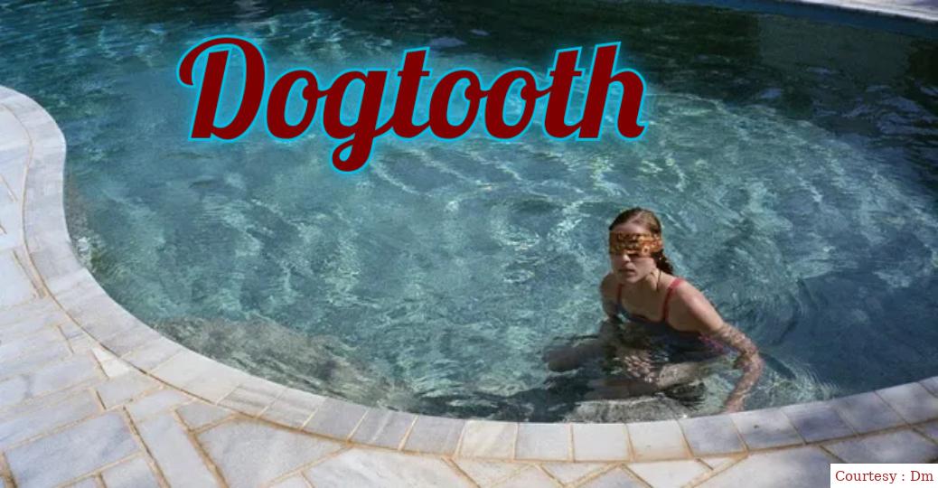 Dogtooth