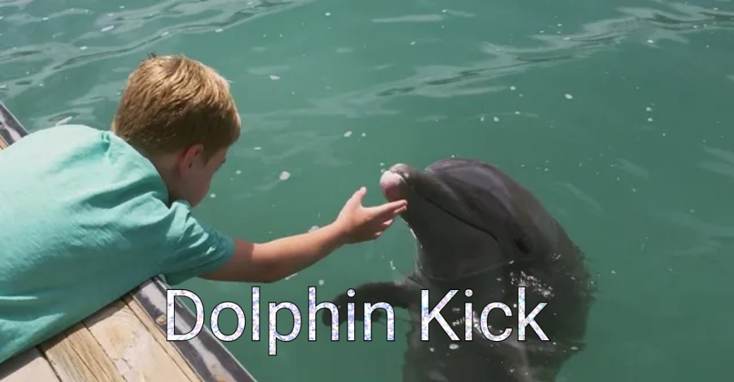 Dolphin Kick