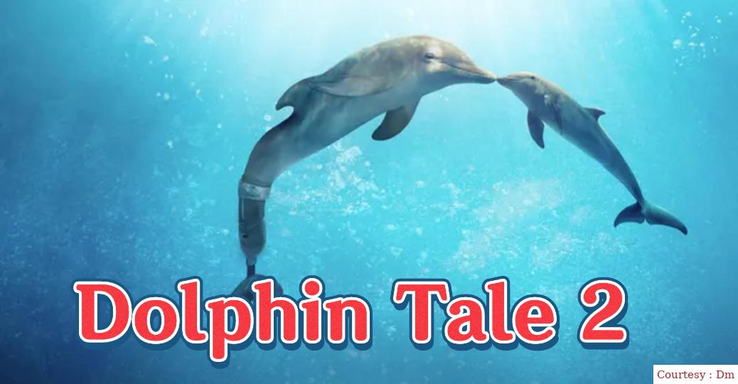 Dolphin Tale 2 