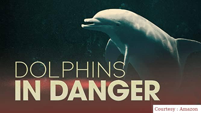 Watch Free  Dolphins in Danger Full Movie Online