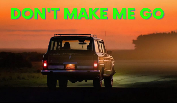 Don't Make Me Go
