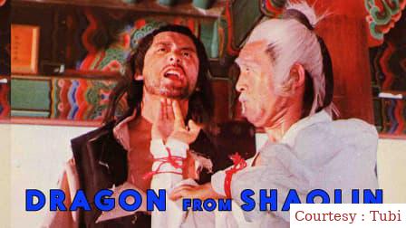 Dragon from Shaolin
