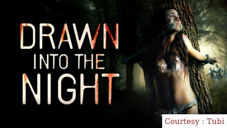 Drawn Into the Night 