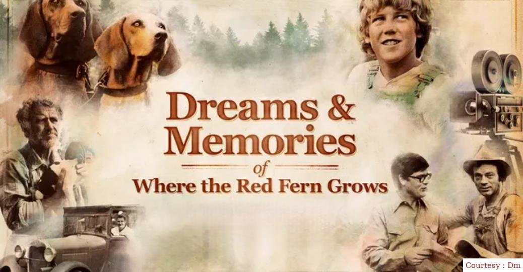 Dreams + Memories: Where the Red Fern Grows