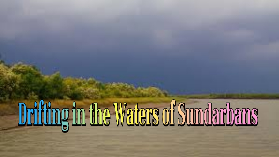 Drifting in the Waters of Sundarbans 