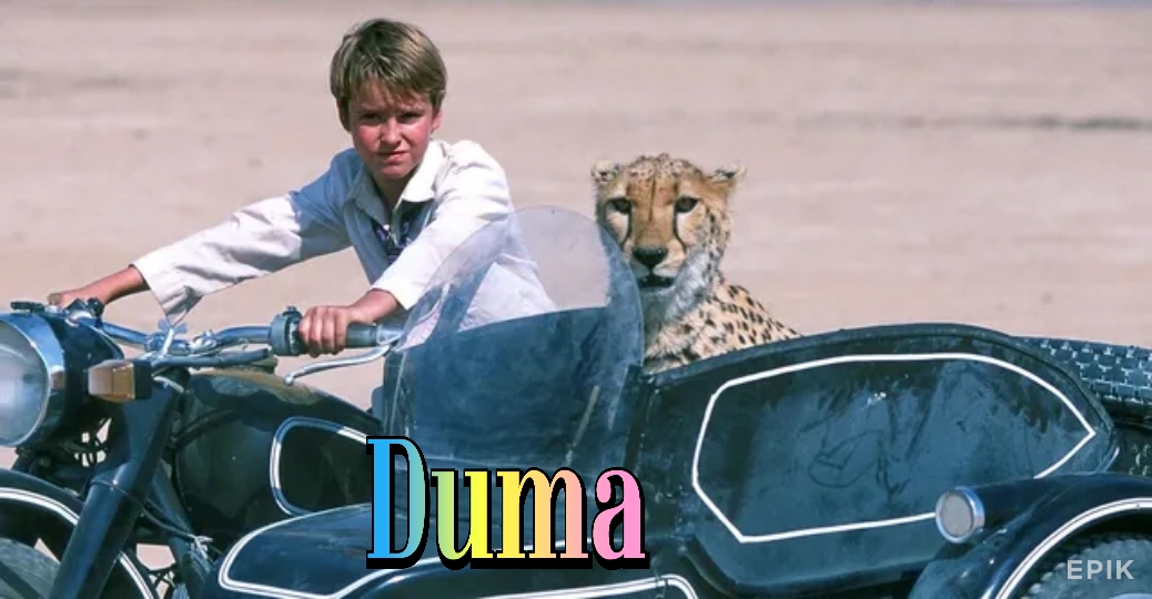 Duma 
