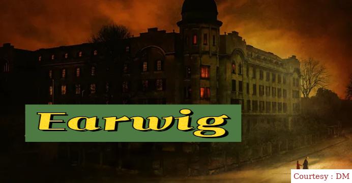 Earwig