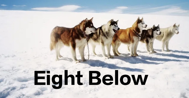 Eight Below
