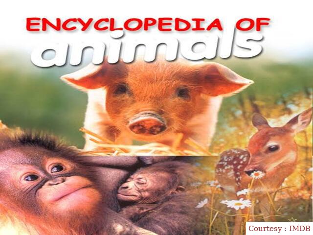 Watch Free  Encyclopedia of Animals Full Movie Online