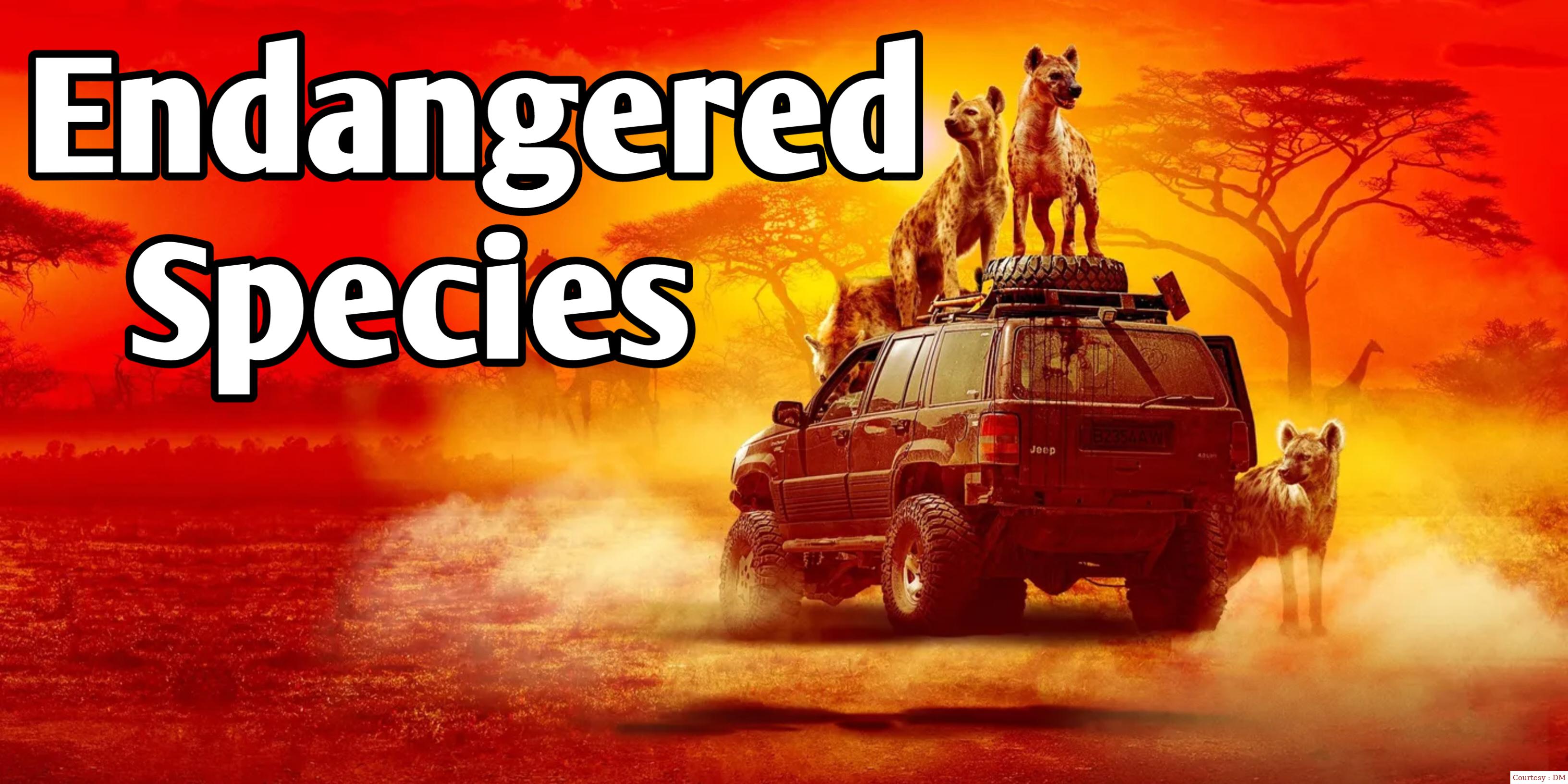 Watch Free  Endangered Species Full Movie Online