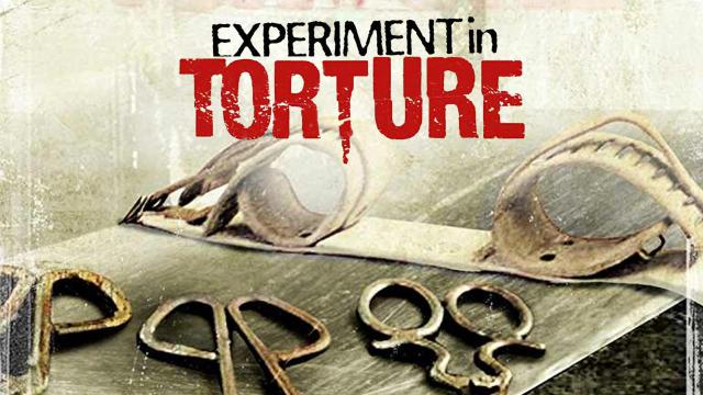Experiment in Torture