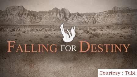 Watch Free Falling for Destiny Full Movie Online