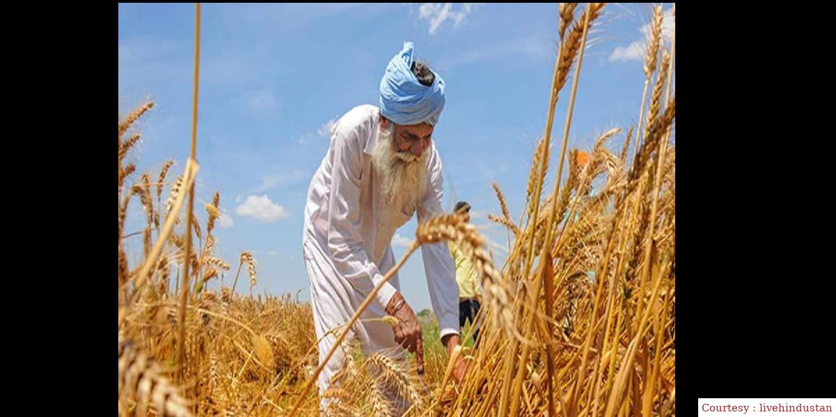 पंजाब और मध्य प्रदेश के किसानों को MSP फॉर्मूला लागू होने से होगा घाटा।