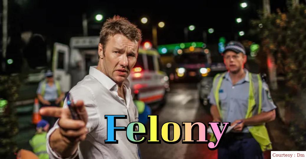 Watch Free  Felony Full Movie Online