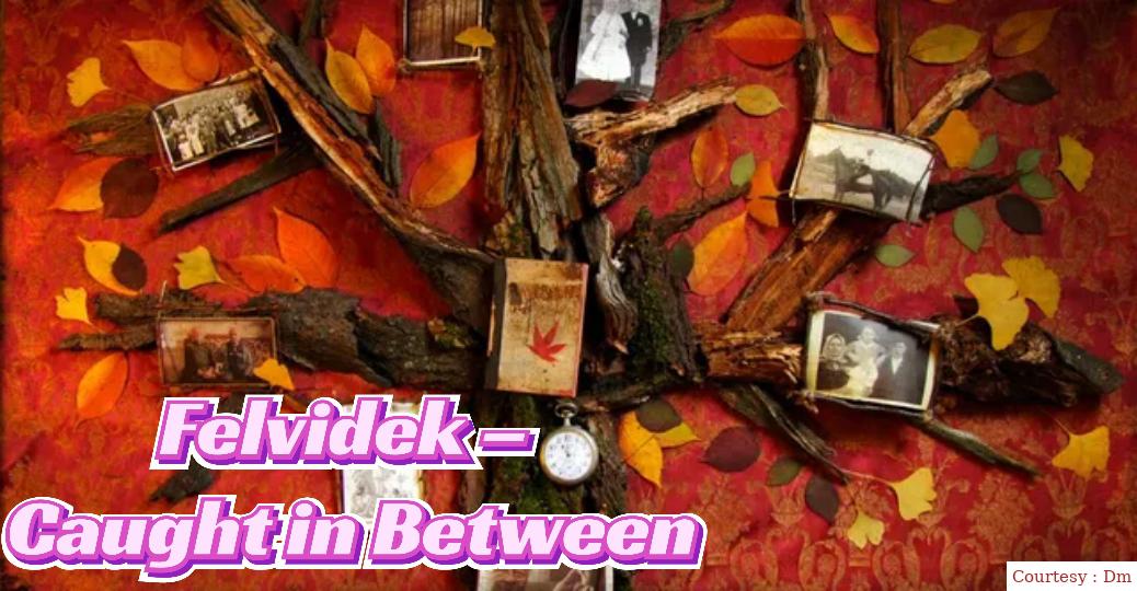 Watch Free  Felvidek – Caught in Between Full Movie Online