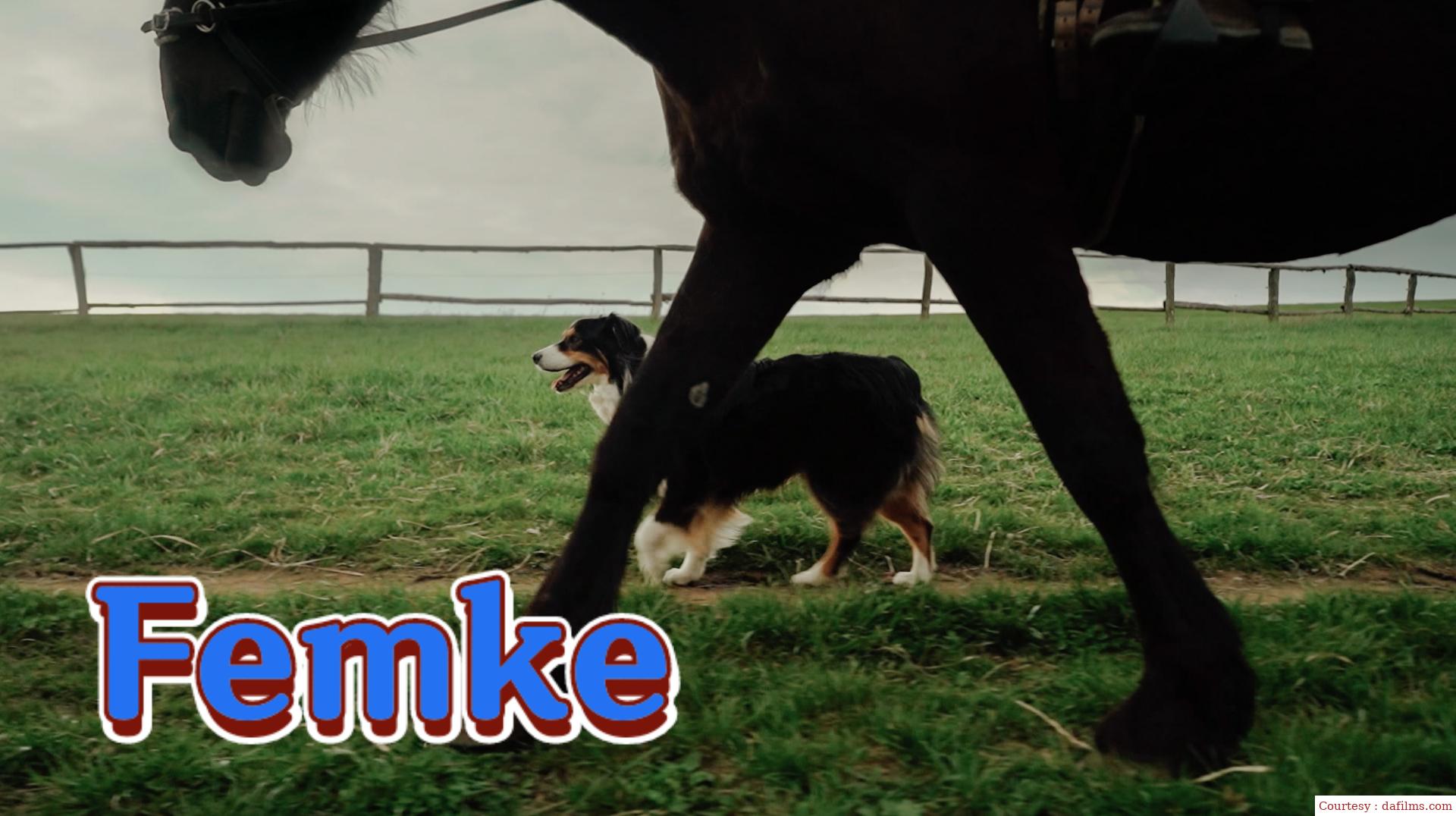 Watch Free  Femke Full Movie Online