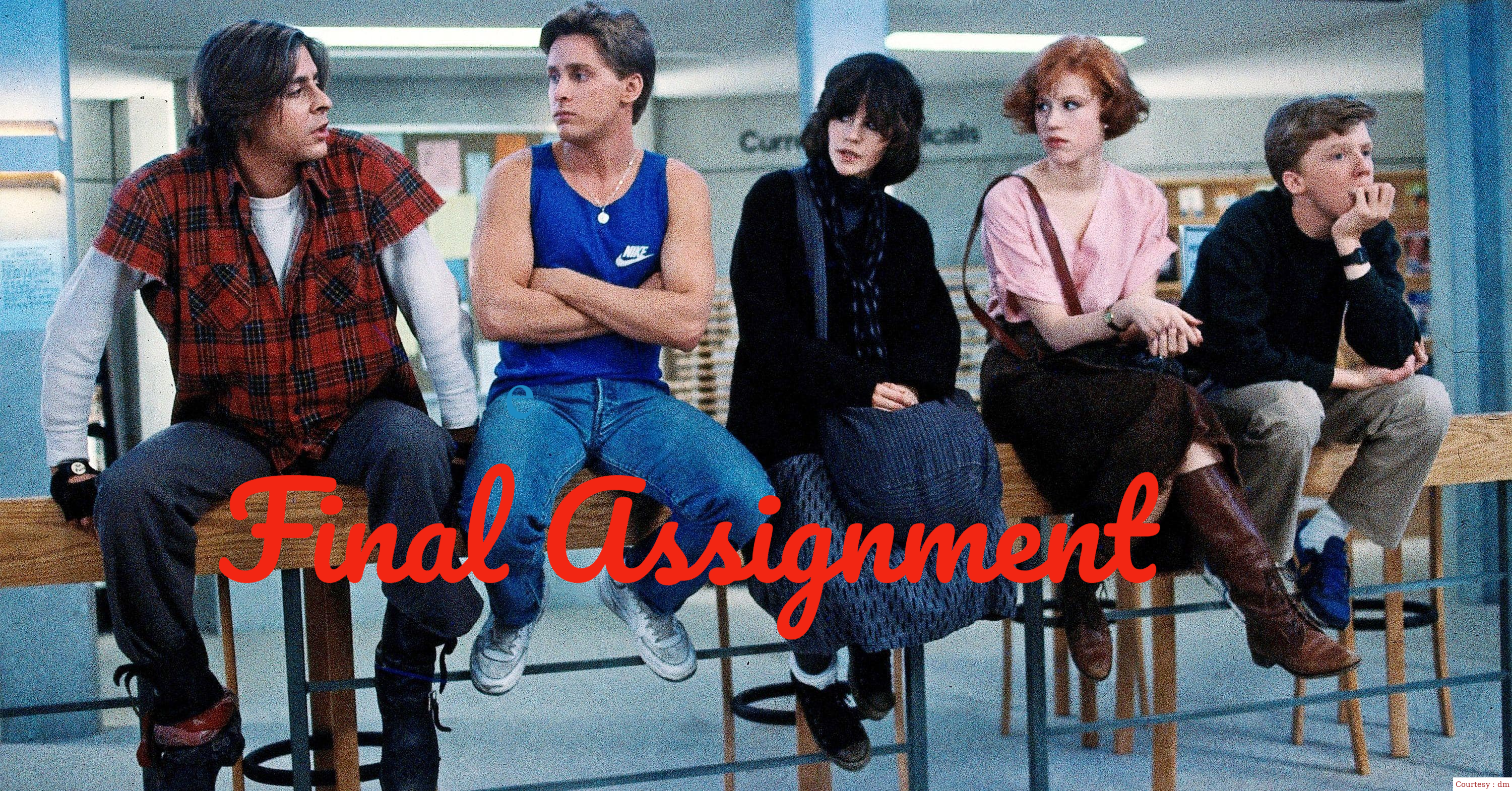 Final Assignment