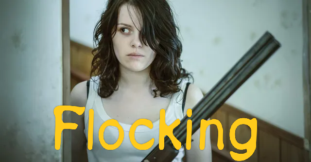 Flocking