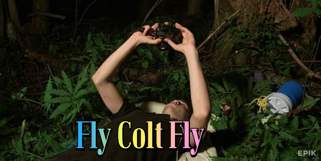 Fly Colt Fly