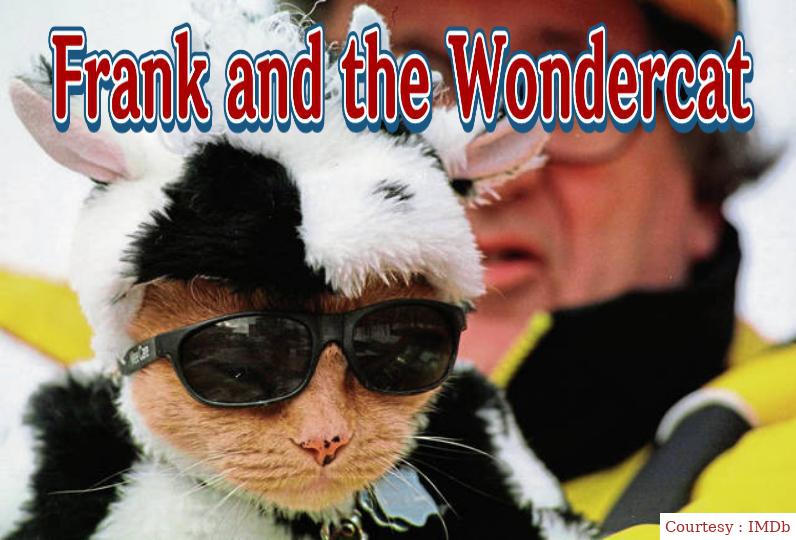 Frank and the Wondercat 