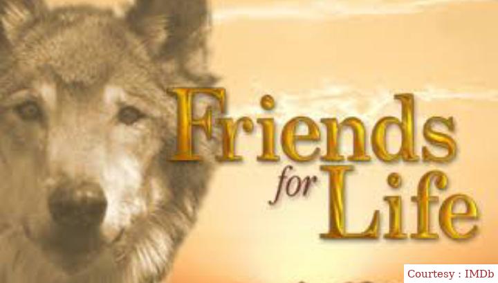 Friends for Life 