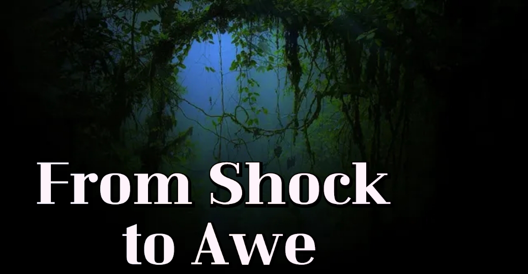 From Shock to Awe