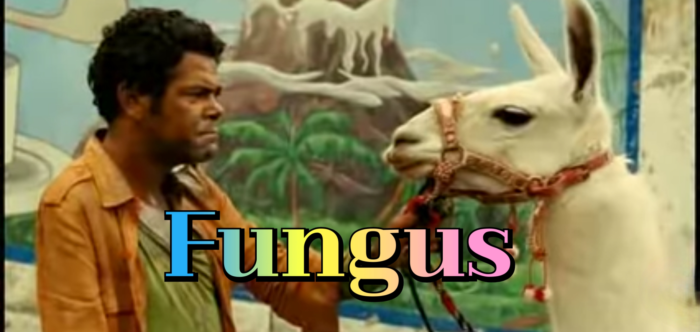 Fungus