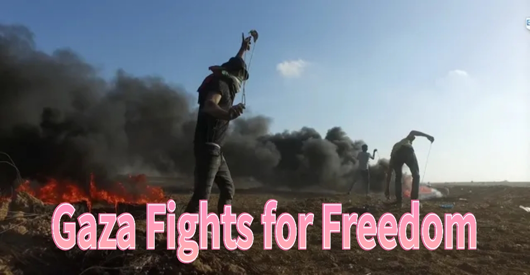 Gaza Fights for Freedom 