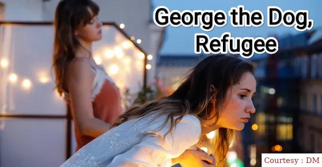 George the Dog, Refugee