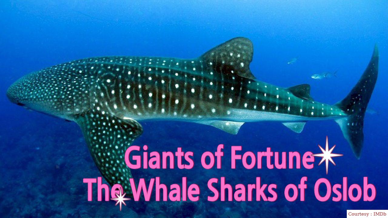 Watch Free  Giants of Fortune - The Whale Sharks of Oslob Full Movie Online