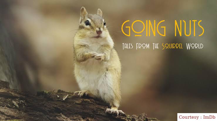 Going Nuts: Tales from the Squirrel World 