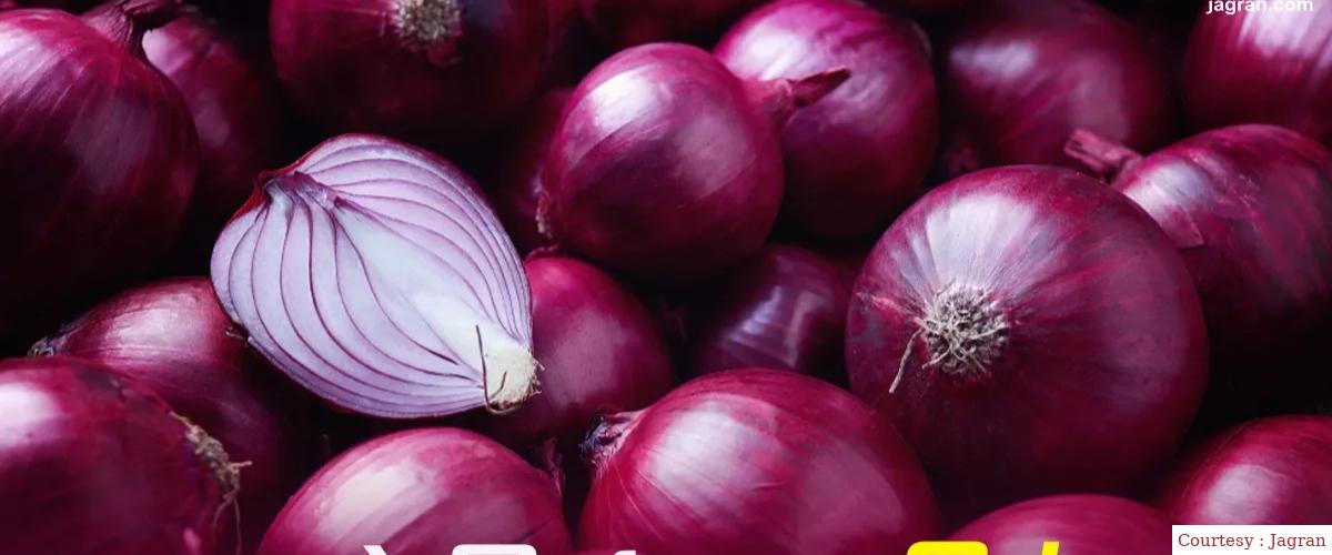 Government ban on onion exports