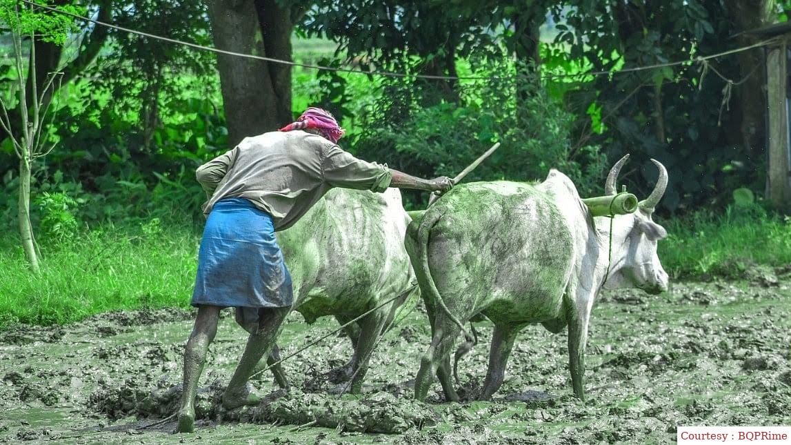 Government fixed subsidy rate for fertilizer