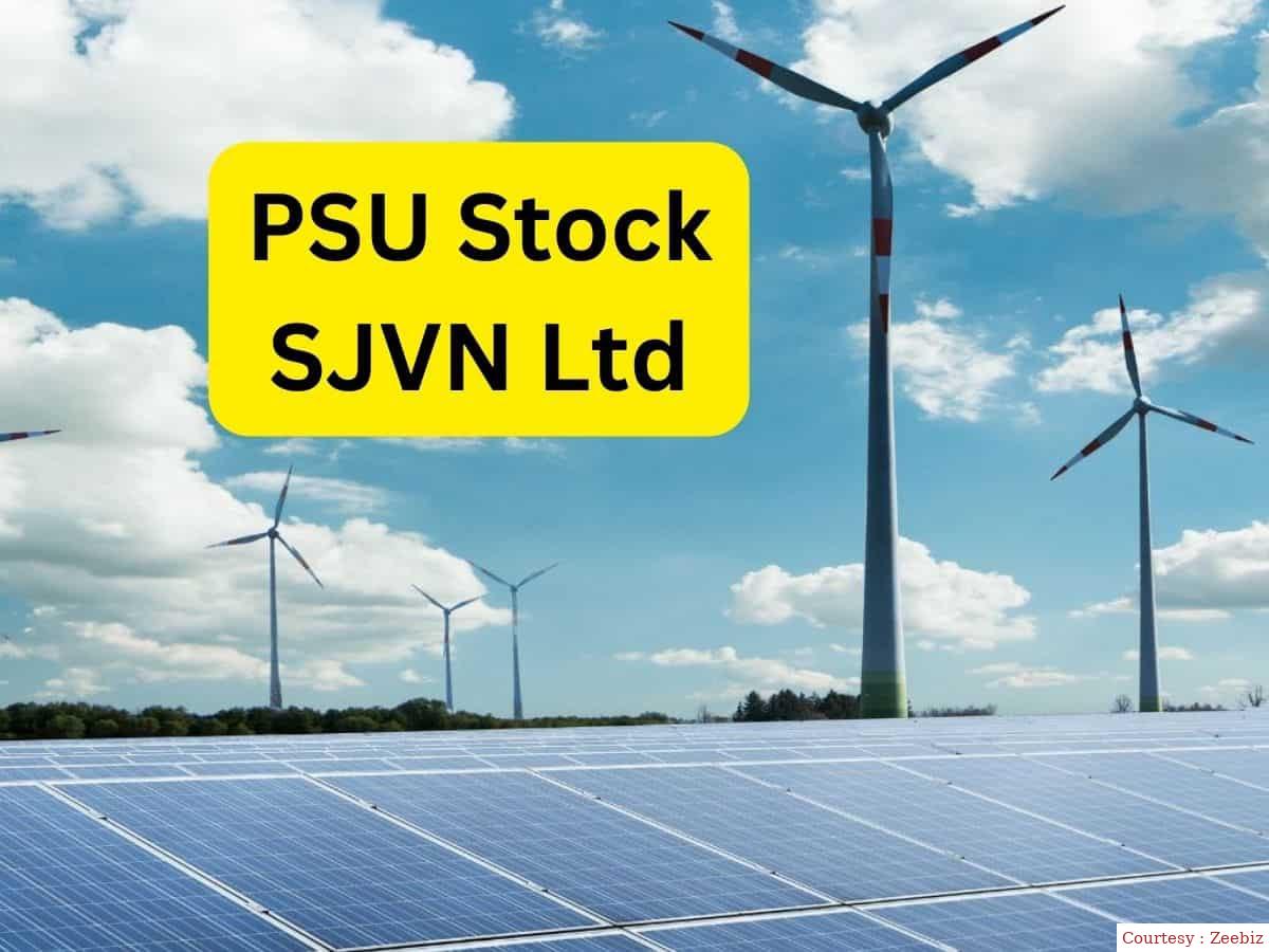 Government will sell its stake from SJVN company