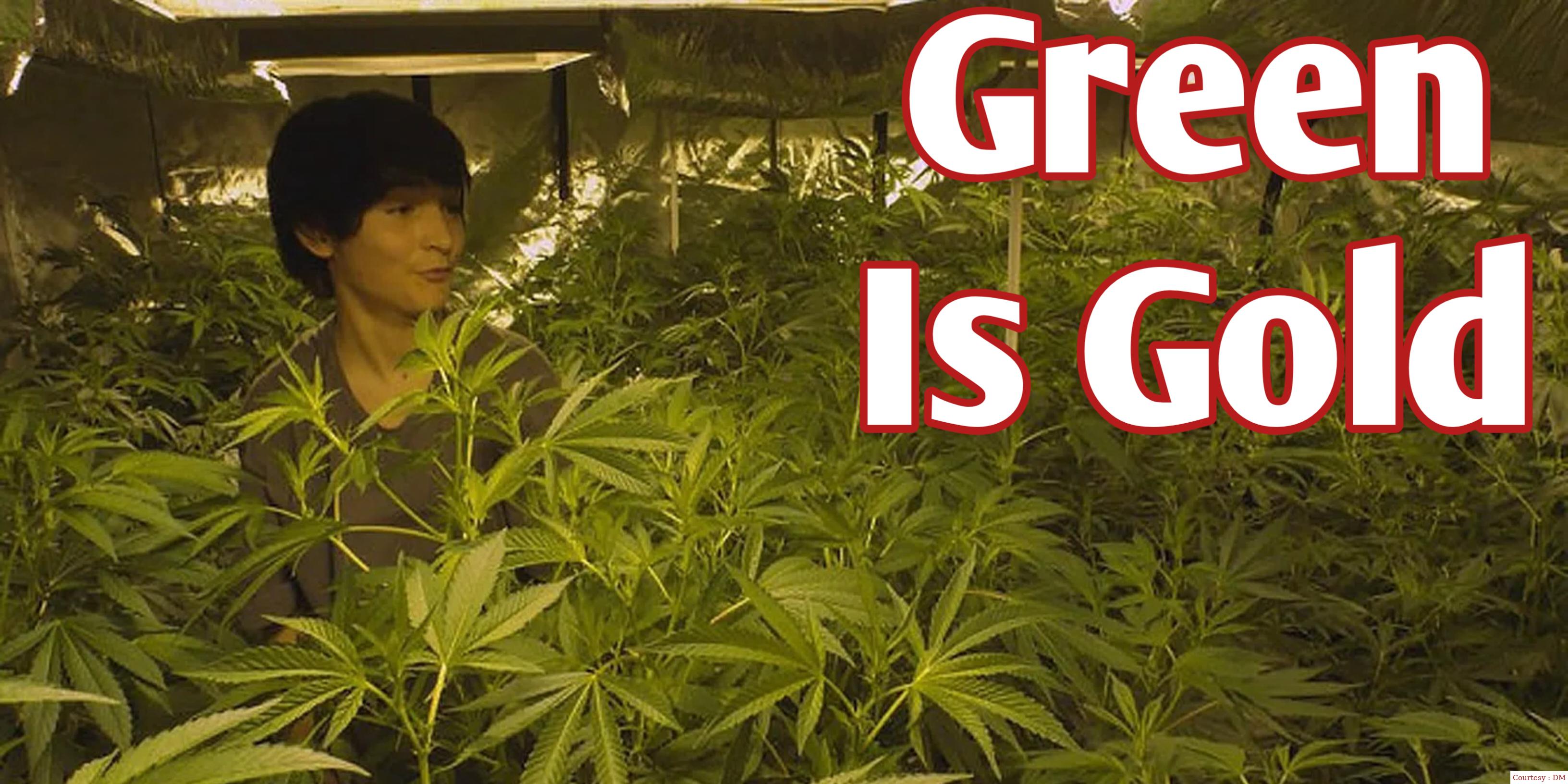 Watch Free  Green Is Gold Full Movie Online