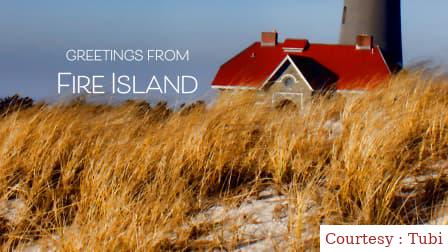 Greetings from Fire Island