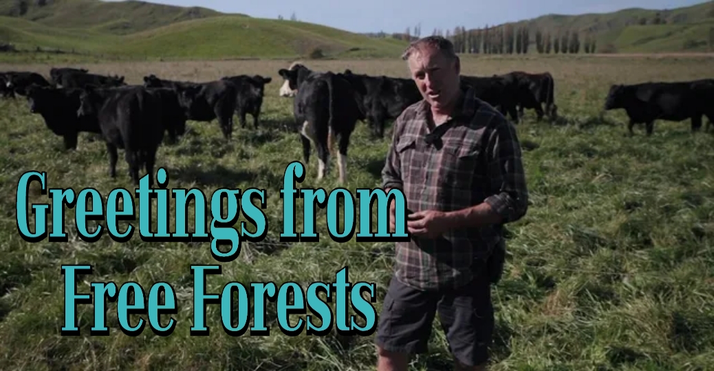 Watch Free  Greetings from Free Forests Full Movie Online